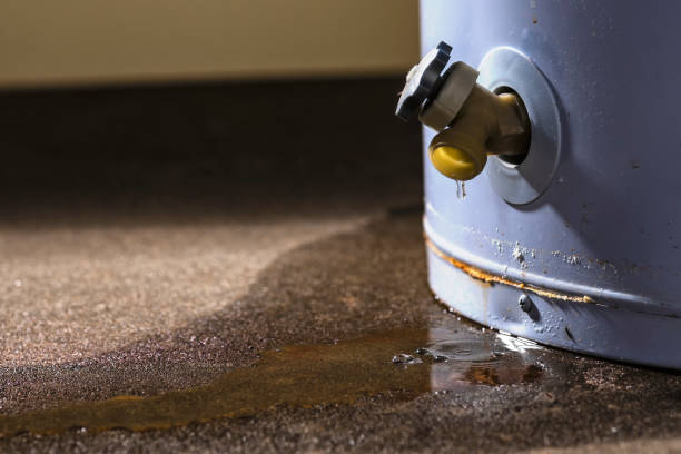 Best Water damage restoration near me  in Moville, IA