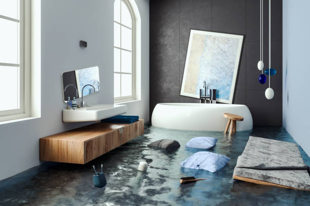 Best Water damage restoration near me  in Moville, IA