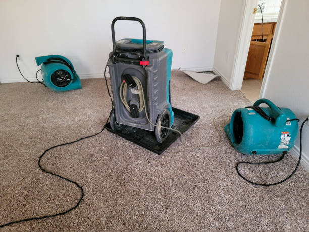 Local water damage restoration in IA