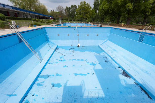 Best Basement water damage restoration  in Moville, IA