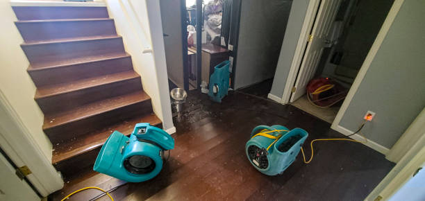 Best Flood damage cleanup  in Moville, IA
