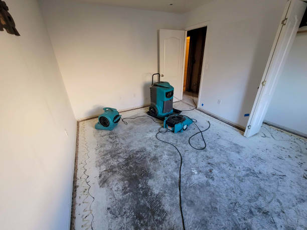 Best Carpet water damage restoration  in Moville, IA
