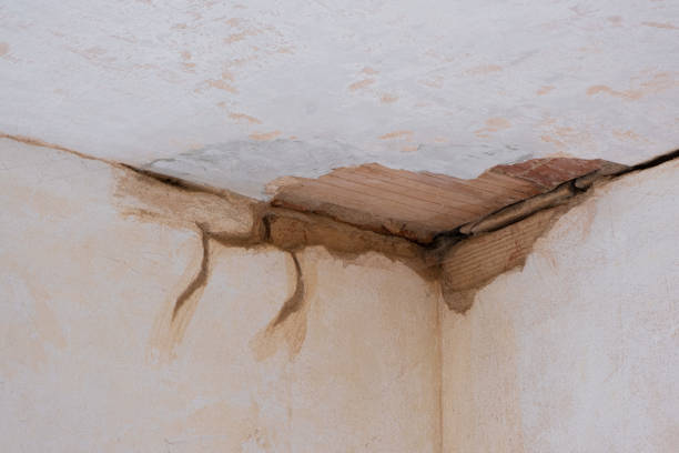  Moville, IA Water damage restoration Pros