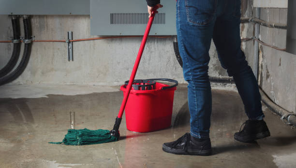 Best Residential water damage restoration  in Moville, IA