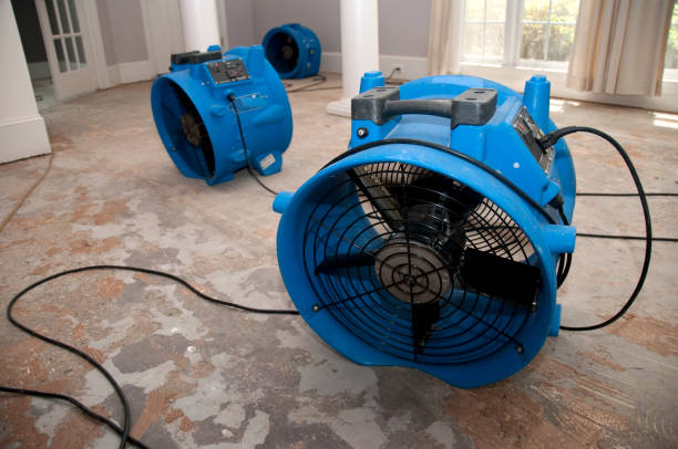 Best Emergency water damage restoration  in Moville, IA