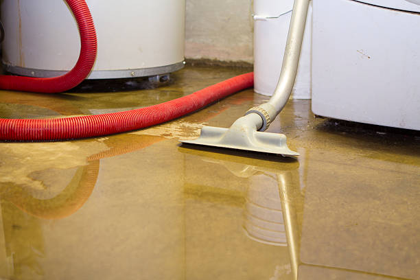 Best Flooded house restoration  in Moville, IA