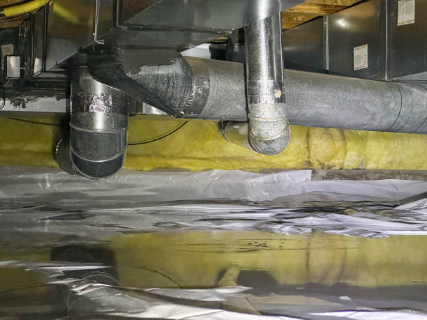Best Local water damage restoration  in Moville, IA