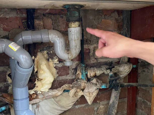 Reliable IA Water damage restoration Solutions