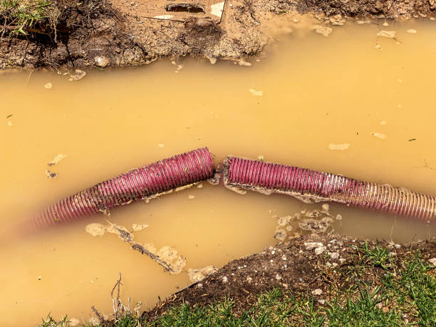 Best 24/7 water damage repair  in Moville, IA