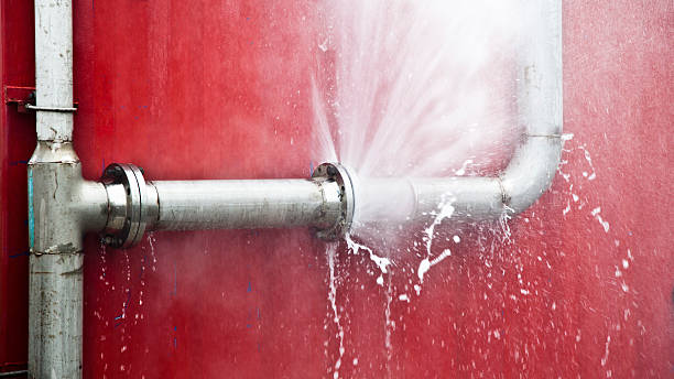 Best Carpet water damage restoration  in Moville, IA
