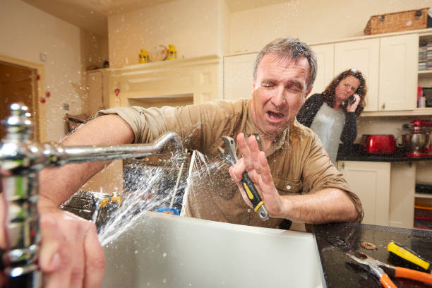 Best Commercial water damage restoration  in Moville, IA
